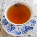 ������������Ź ��������ɥåȥ��� 2008ǯ���������Ŧ�߹���CUP